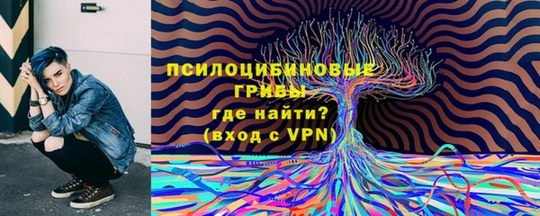 спиды Карпинск