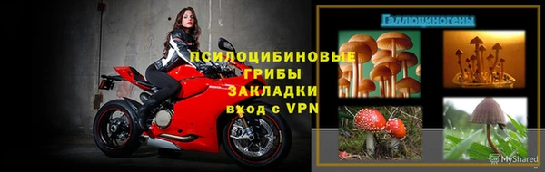 2c-b Касимов