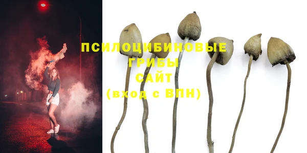 спиды Карпинск
